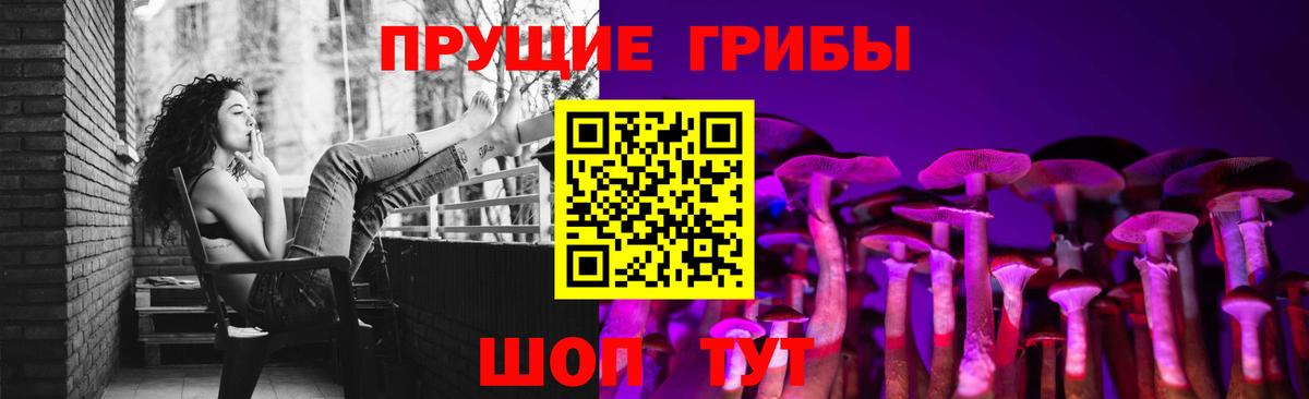Псилоцибиновые грибы Psilocybe Йошкар-Ола